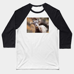 Bighorn Sheep Baseball T-Shirt